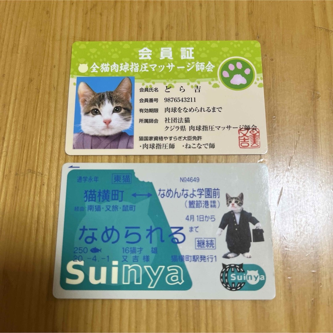 なめ猫 全猫肉球指圧マッサージ師会 会員証 Suinya(Suica) 2点売り エンタメ/ホビーのアニメグッズ(カード)の商品写真