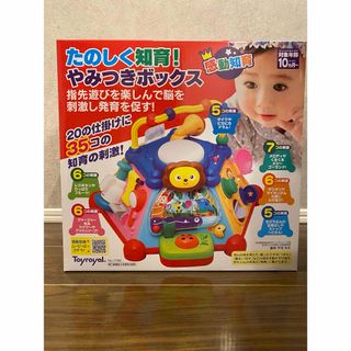 トイローヤル(Toyroyal)のたのしく知育！やみつきボックス(知育玩具)