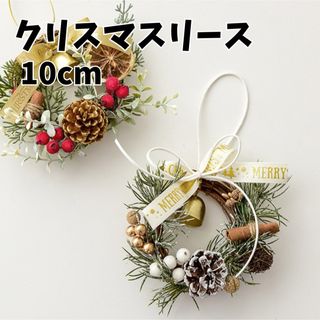 リース クリスマスリース インテリア クリスマス雑貨  造草リース 10センチ (リース)