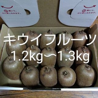 キウイフルーツ 梱包資材込み1300g〜1400g 農薬不使用(フルーツ)