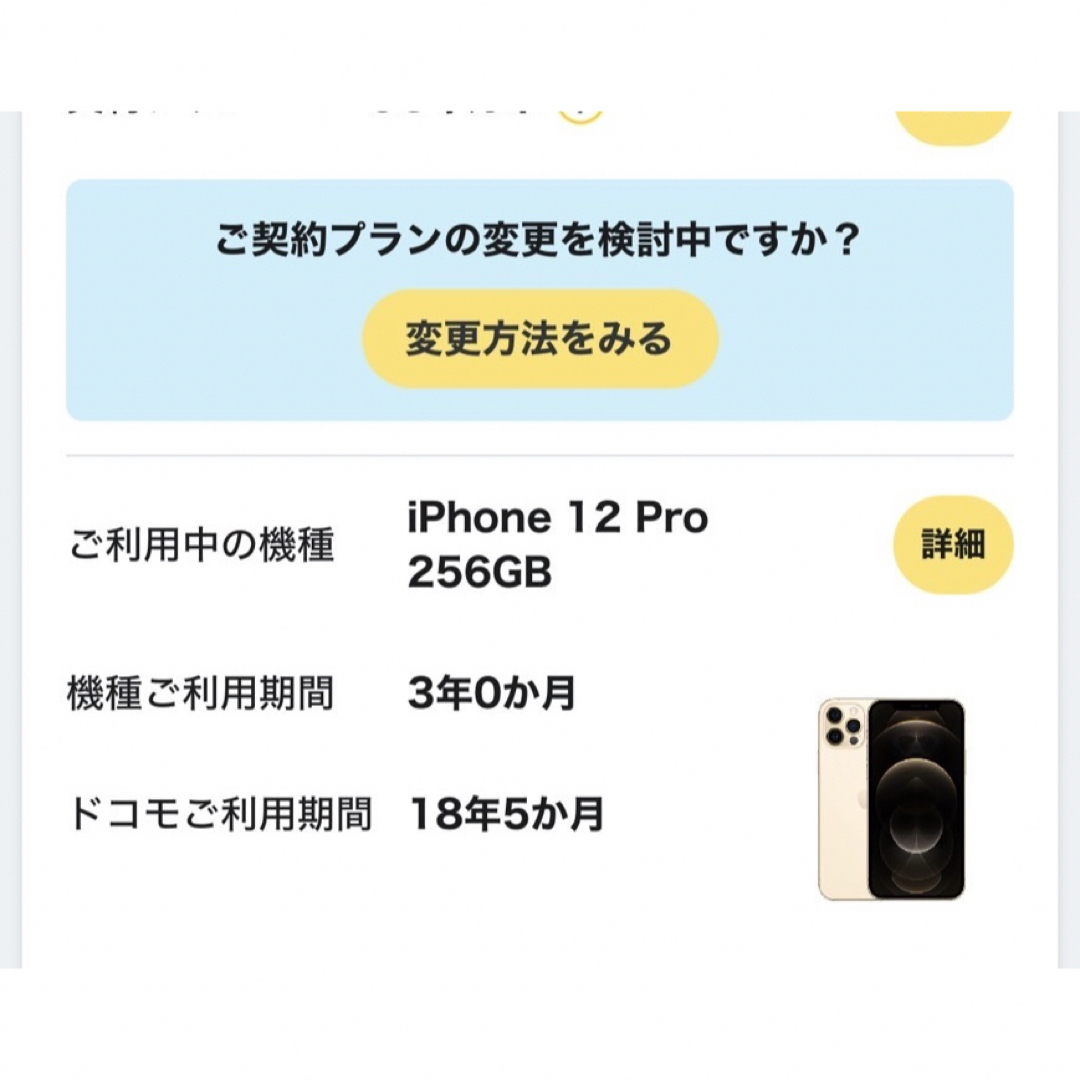iPhone(アイフォーン)のiPhone 12 Pro 256GB Docomo ジャンク スマホ/家電/カメラのスマートフォン/携帯電話(スマートフォン本体)の商品写真