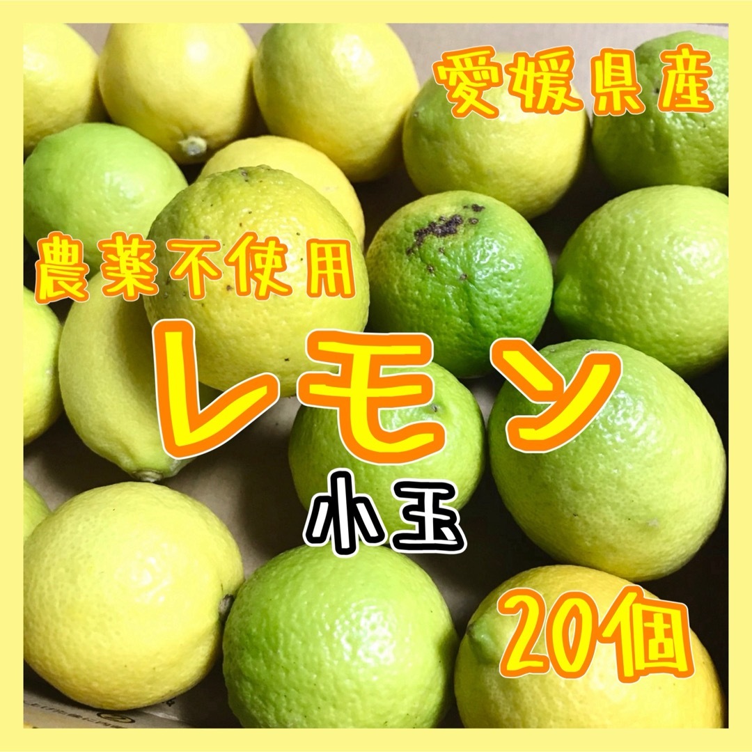 愛媛県産 農薬不使用 小玉 レモン20個 国産レモン 果物 国産 食品/飲料/酒の食品(フルーツ)の商品写真
