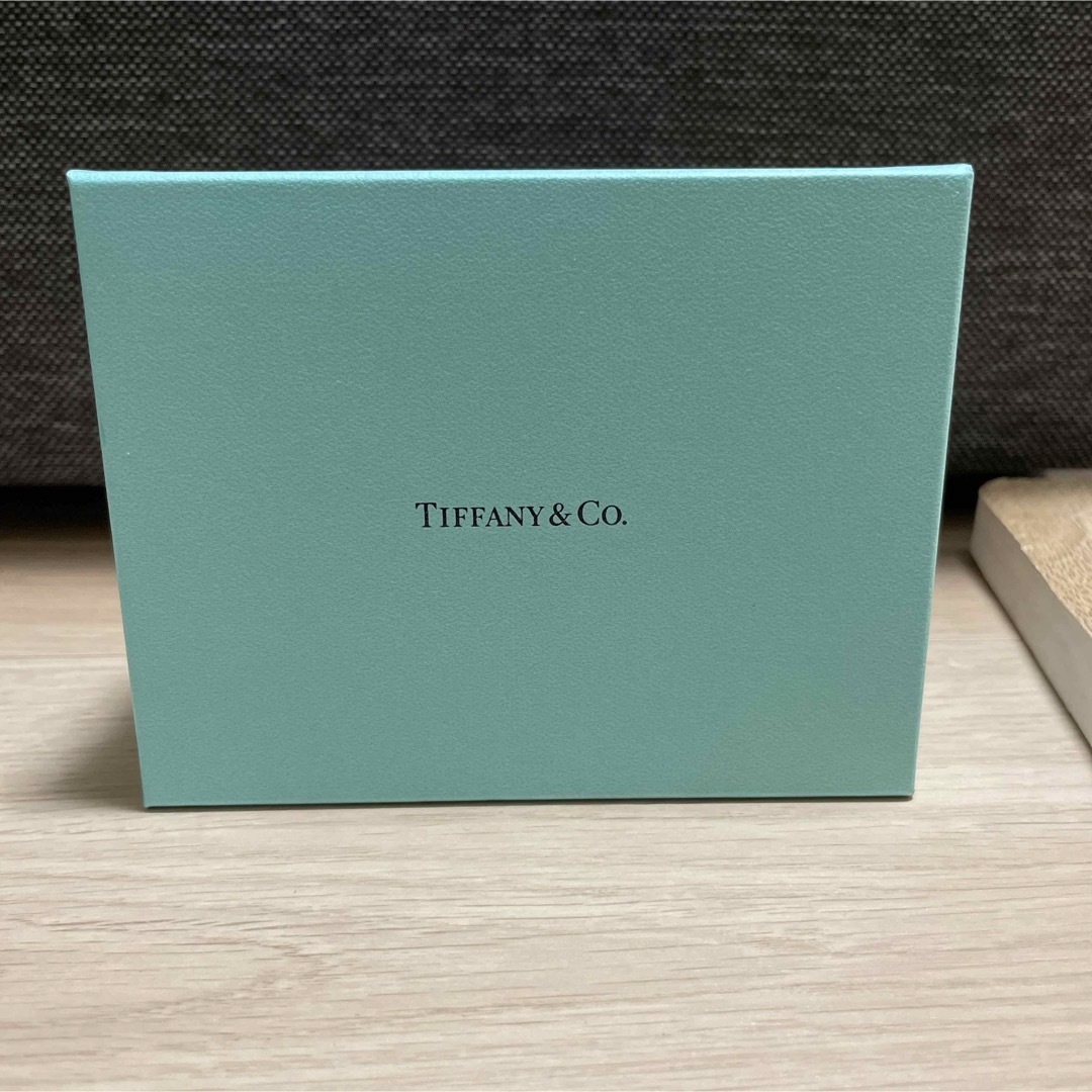 新品未使用　TIFFANY&CO. ティファニー ループベビースプーンキッチン/食器