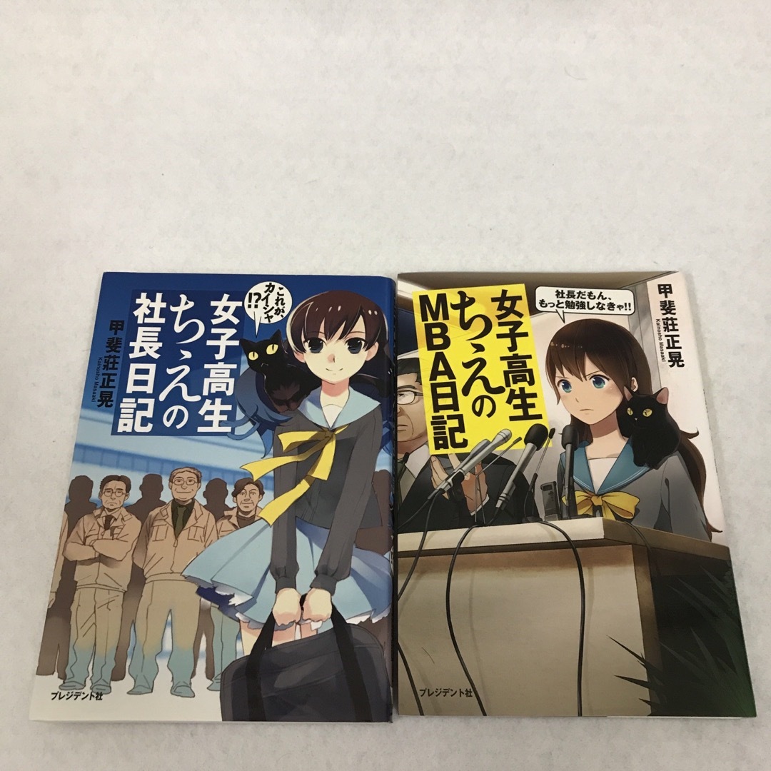 女子高生ちえの社長日記 2冊セット　会社経営 エンタメ/ホビーの本(ビジネス/経済)の商品写真