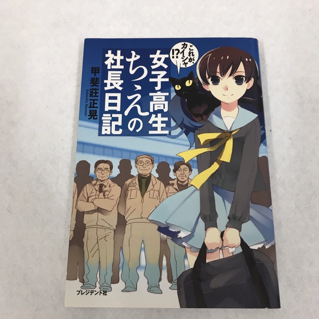 女子高生ちえの社長日記 2冊セット　会社経営 エンタメ/ホビーの本(ビジネス/経済)の商品写真