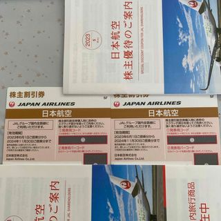 JAL株主優待券2枚　割引券（冊子）(航空券)