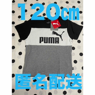 プーマ(PUMA)の【新品未使用】PUMA 120cmキッズ カラーブロック 半袖 Tシャツ(Tシャツ/カットソー)