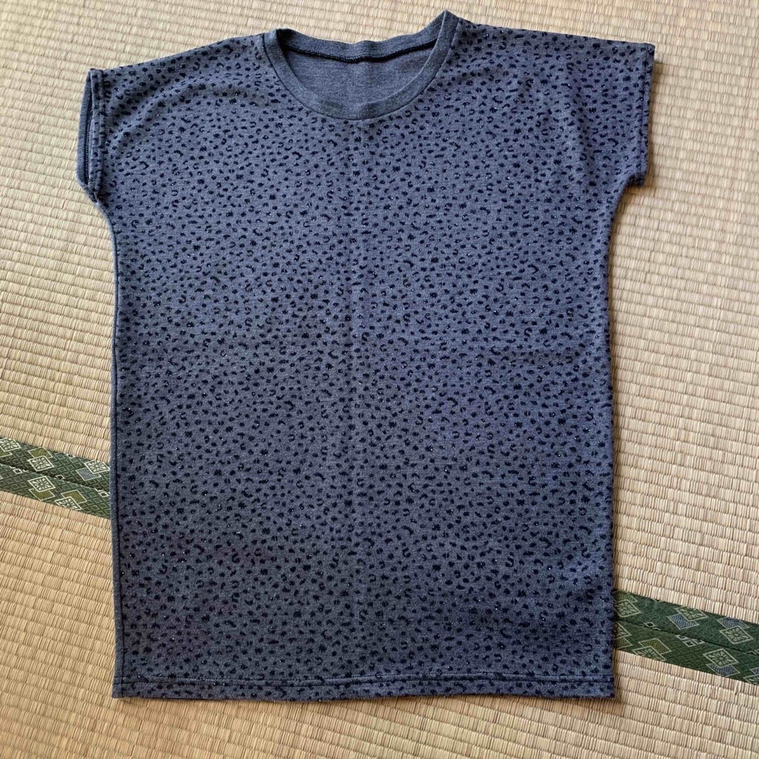 ラメ入り　厚めTシャツ レディースのトップス(Tシャツ(半袖/袖なし))の商品写真