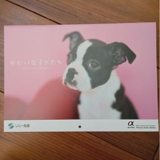 ソニー(SONY)のカレンダー2024 ゆかいな子犬たち(カレンダー/スケジュール)