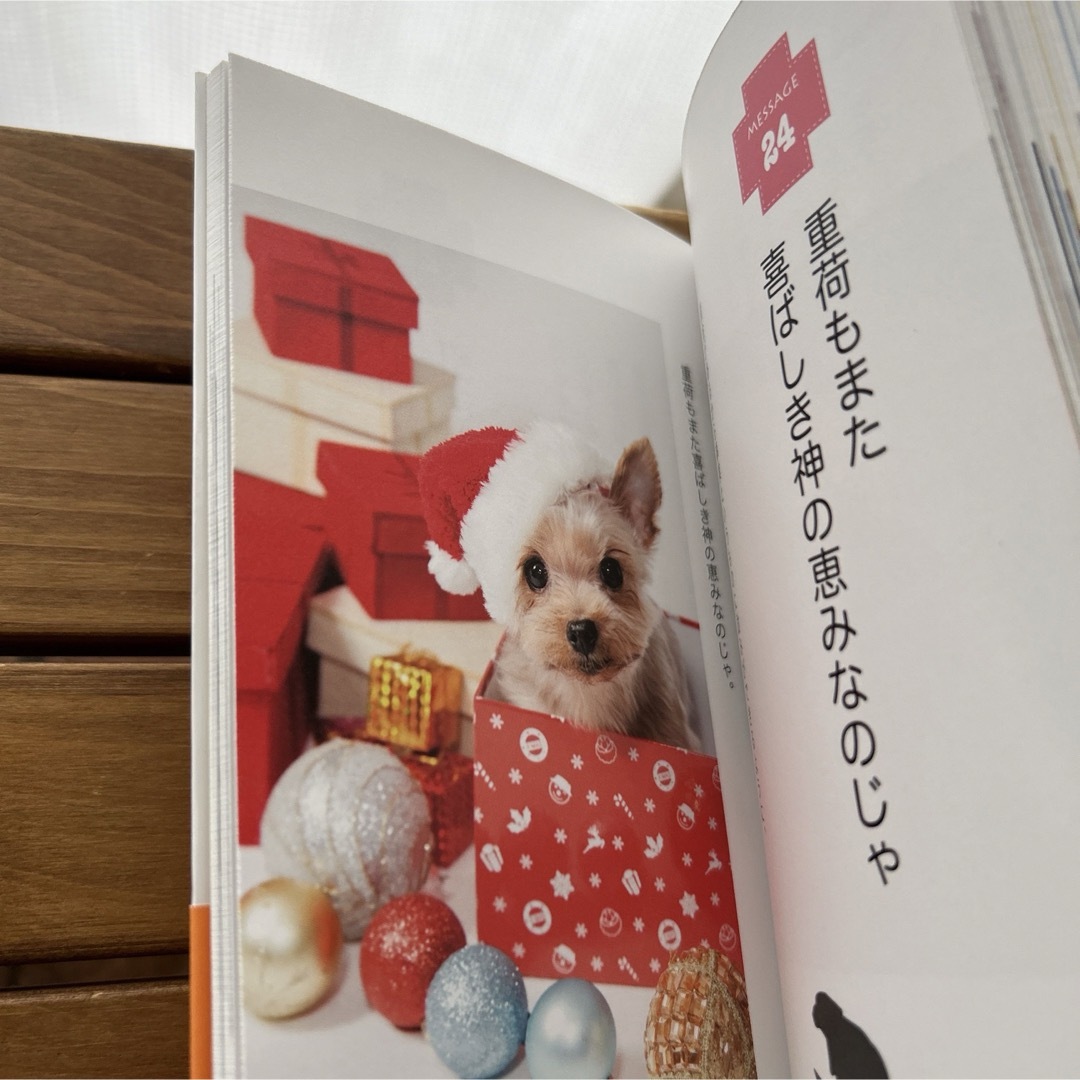 ニャンでもやればできる　犬も歩けば棒にオシッコ　最終価格 エンタメ/ホビーの本(その他)の商品写真