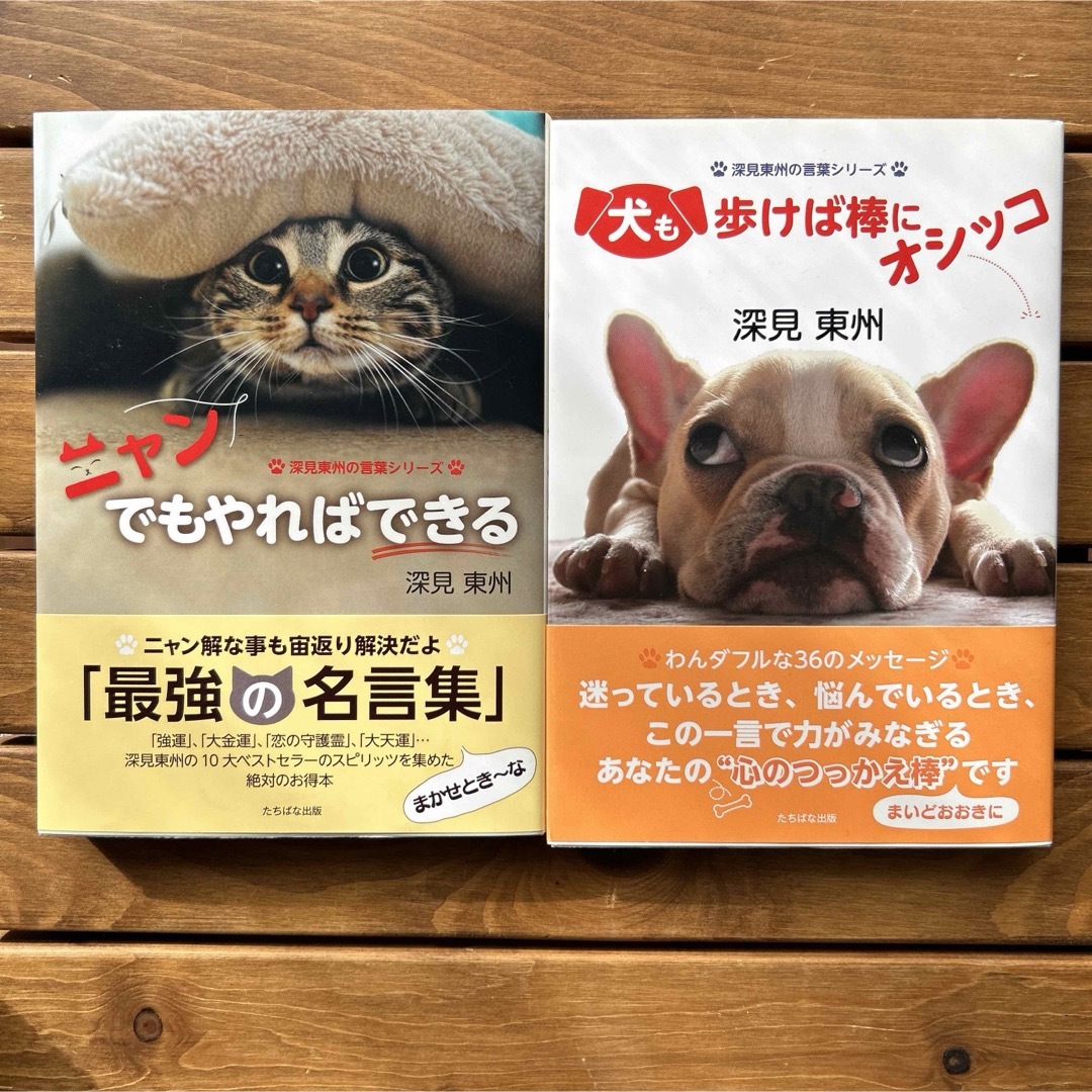 ニャンでもやればできる　犬も歩けば棒にオシッコ　最終価格 エンタメ/ホビーの本(その他)の商品写真