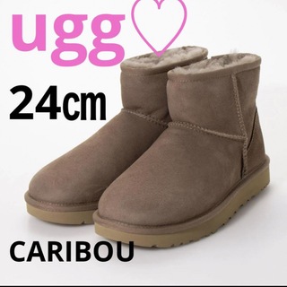 アグ(UGG)のugg ♡ 新品　クラシックミニ2 24㎝　ムートン　ブーツ　靴　カリブー(ブーツ)