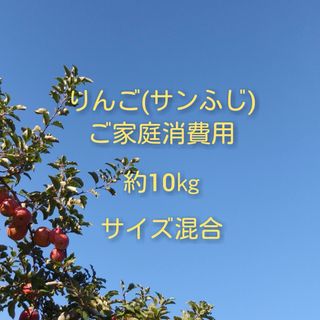 りんご(サンふじ)訳ありご家庭消費用 約10kg(フルーツ)