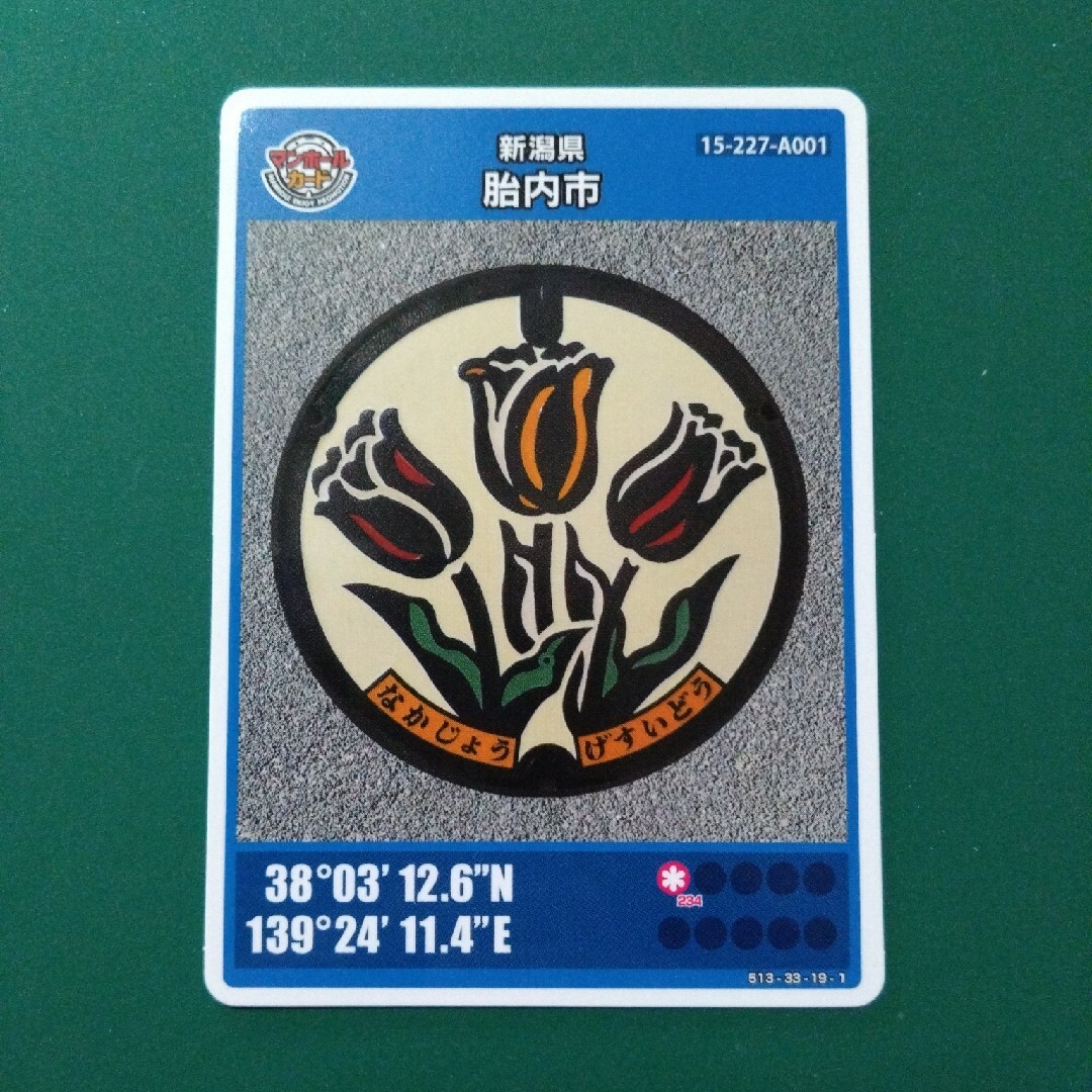 マンホールカード（新潟県／胎内市） エンタメ/ホビーのコレクション(印刷物)の商品写真
