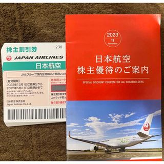 ジャル(ニホンコウクウ)(JAL(日本航空))のJAL 日航 日本航空 優待 株主優待券 10枚(その他)