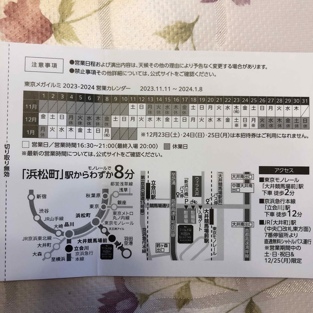 東京メガイルミ2023-2024 招待券2枚　 チケットの施設利用券(遊園地/テーマパーク)の商品写真
