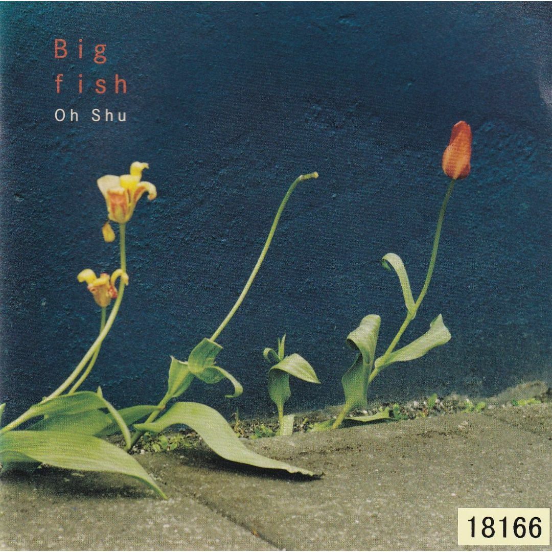 W10489  Big fish 王舟  中古CD エンタメ/ホビーのCD(ポップス/ロック(邦楽))の商品写真