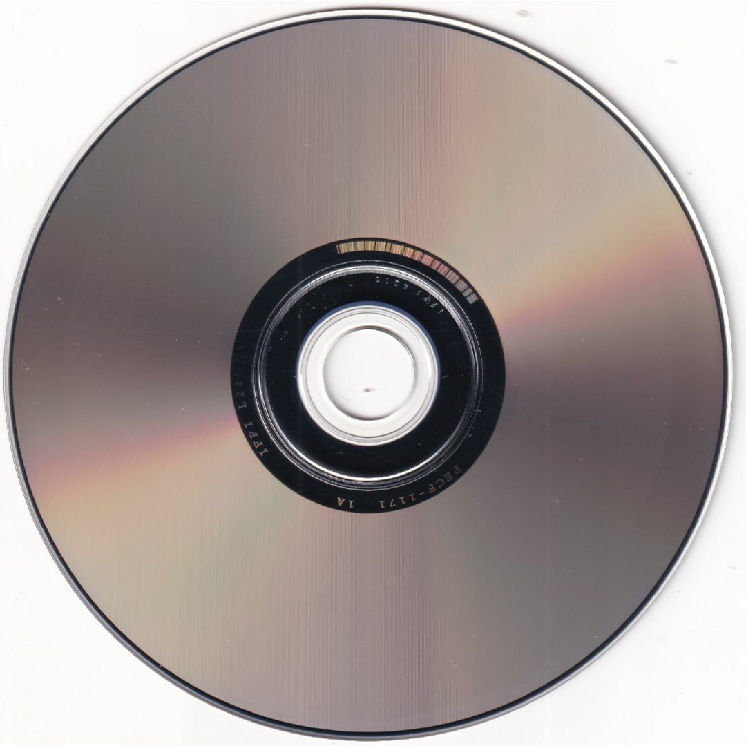 W10489  Big fish 王舟  中古CD エンタメ/ホビーのCD(ポップス/ロック(邦楽))の商品写真