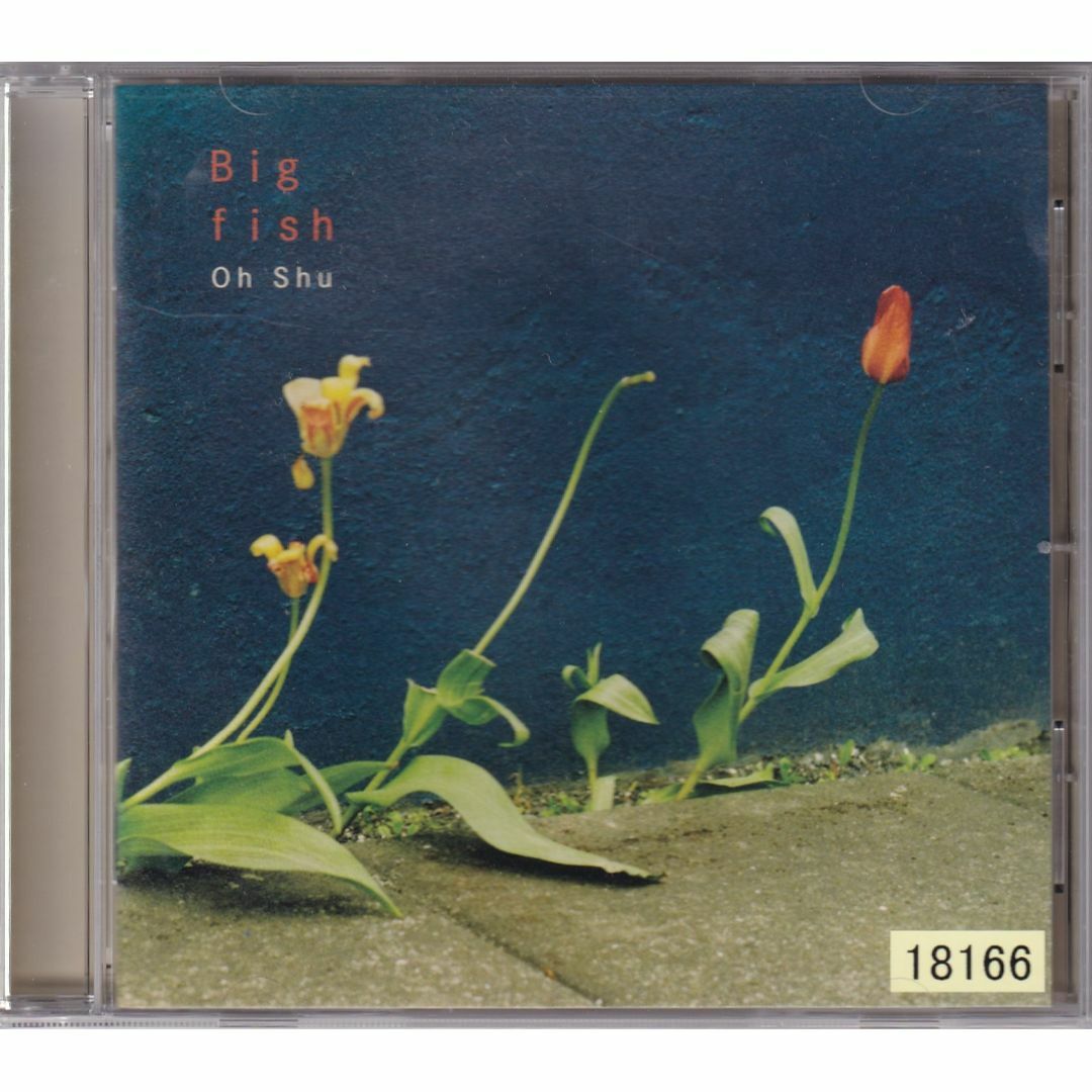 W10489  Big fish 王舟  中古CD エンタメ/ホビーのCD(ポップス/ロック(邦楽))の商品写真