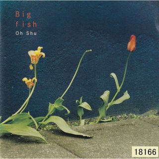 W10489  Big fish 王舟  中古CD(ポップス/ロック(邦楽))