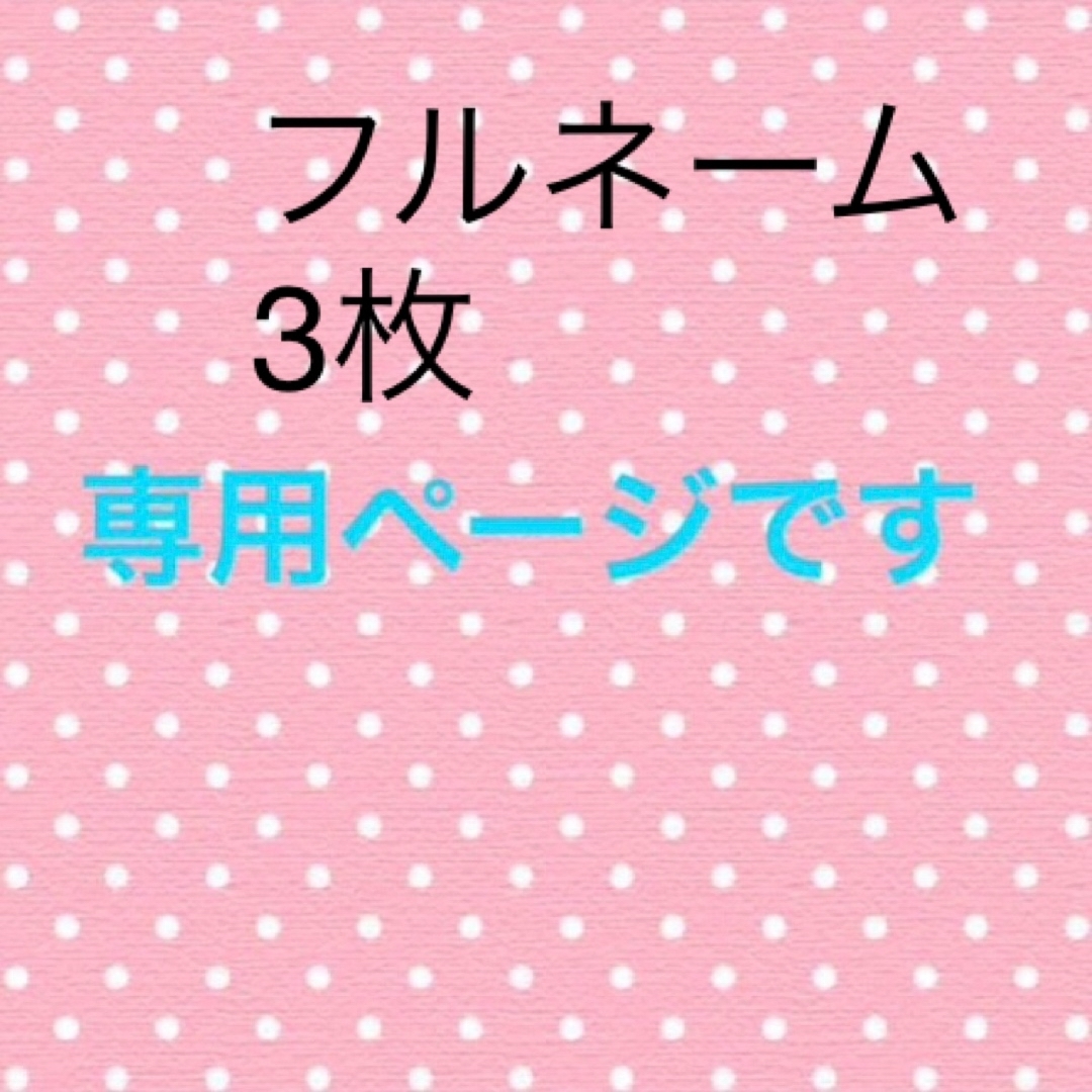 Asami様専用ページ お名前ワッペン - ベビー