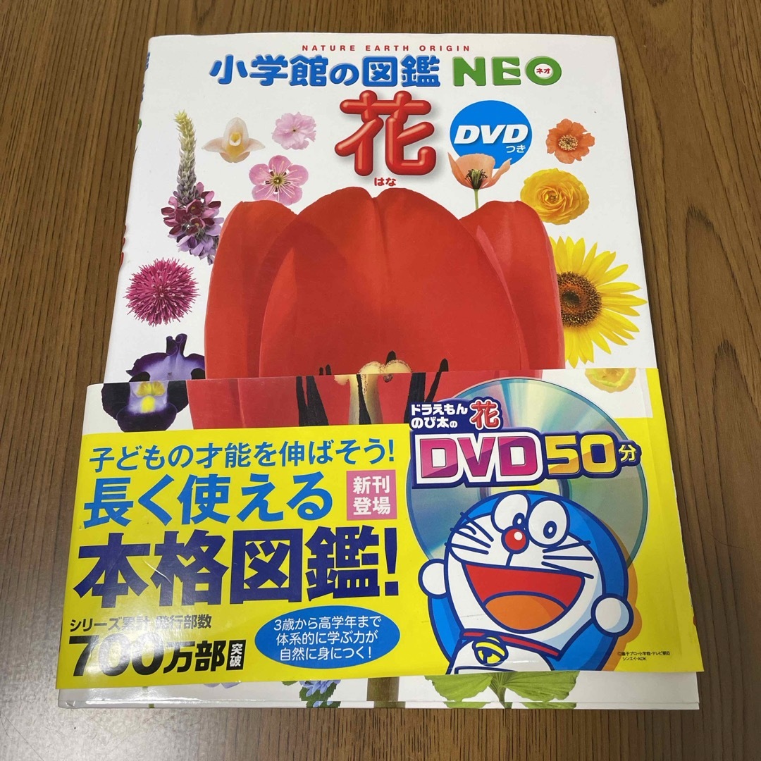 小学館(ショウガクカン)の図鑑NEO 花【DVD付き】 エンタメ/ホビーの本(絵本/児童書)の商品写真