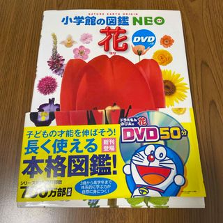 ショウガクカン(小学館)の図鑑NEO 花【DVD付き】(絵本/児童書)