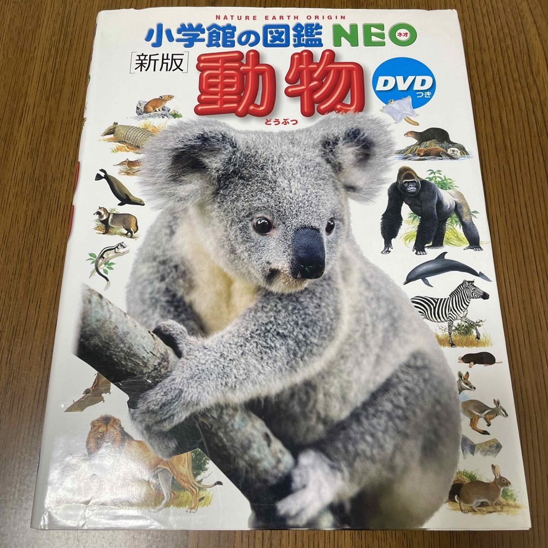 小学館(ショウガクカン)の図鑑NEO 動物【DVD付き】 エンタメ/ホビーの本(絵本/児童書)の商品写真