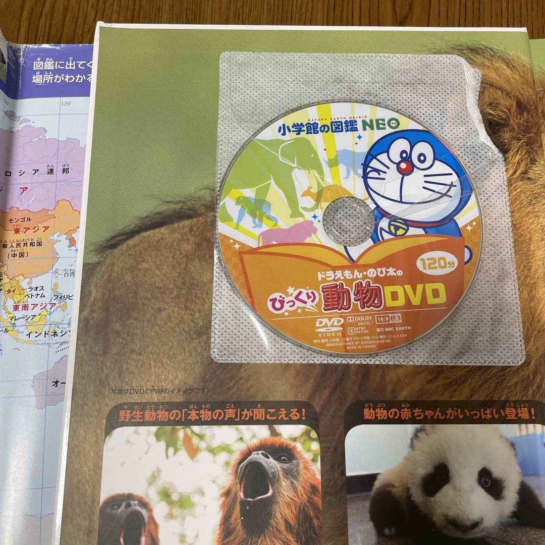 小学館(ショウガクカン)の図鑑NEO 動物【DVD付き】 エンタメ/ホビーの本(絵本/児童書)の商品写真