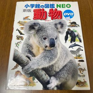 ショウガクカン(小学館)の図鑑NEO 動物【DVD付き】(絵本/児童書)