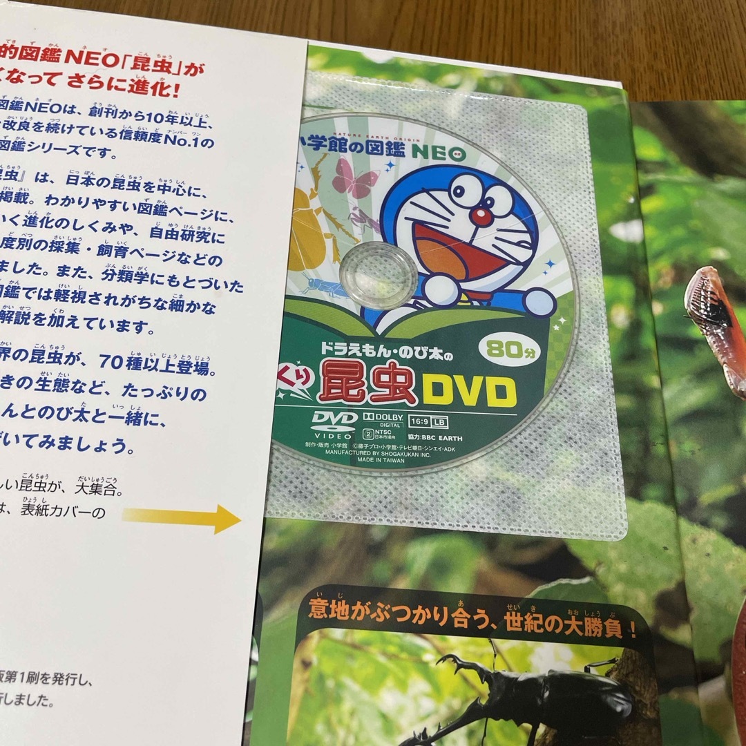 小学館(ショウガクカン)の図鑑NEO 昆虫【DVD付き】 エンタメ/ホビーの本(絵本/児童書)の商品写真