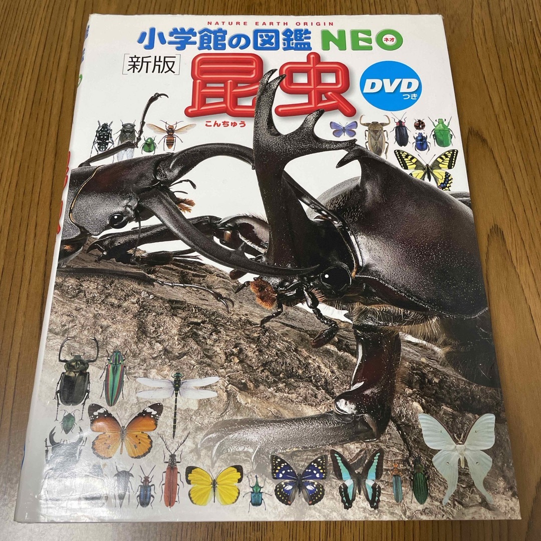 小学館(ショウガクカン)の図鑑NEO 昆虫【DVD付き】 エンタメ/ホビーの本(絵本/児童書)の商品写真