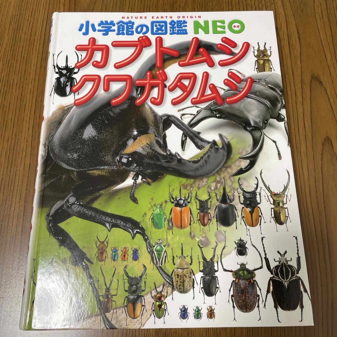 小学館(ショウガクカン)の図鑑NEO  カブトムシクワガタムシ エンタメ/ホビーの本(絵本/児童書)の商品写真