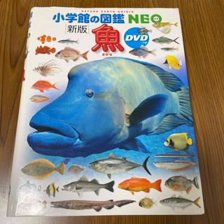 ショウガクカン(小学館)の図鑑NEO魚【DVD付き】(絵本/児童書)