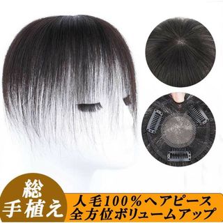 人毛100％ヘアピース 部分ウィッグ 総手植え O型つむじ 超軽量 白髪隠し(ショートストレート)