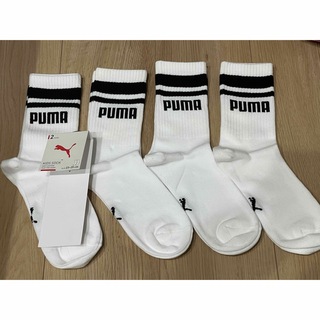 プーマ(PUMA)の新品　PUMA 靴下　23-25 kids 4足セット　プーマ　ソックス(靴下/タイツ)