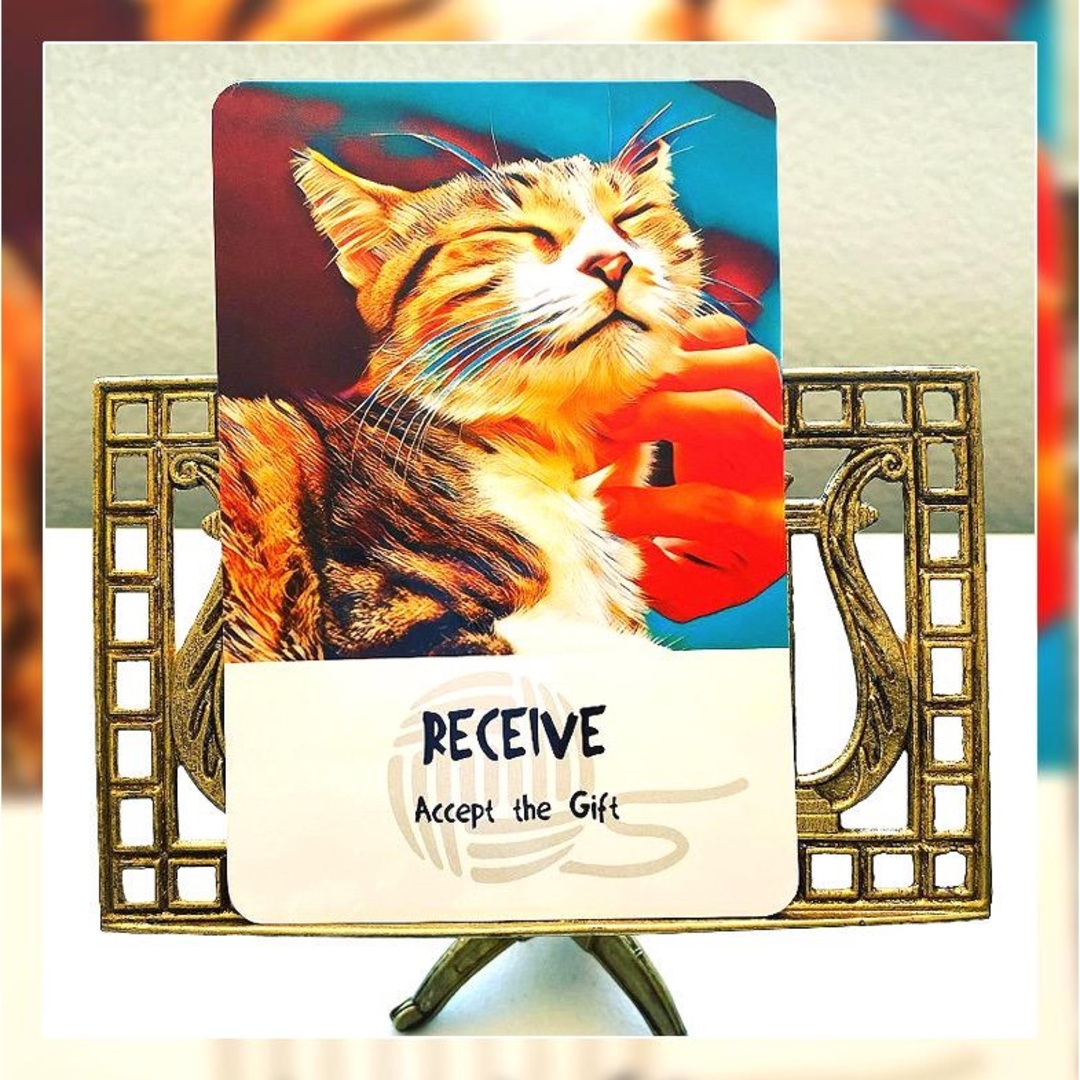 ✨キュート！✨生き生きとした猫ちゃんが描かれた海外オラクルカード