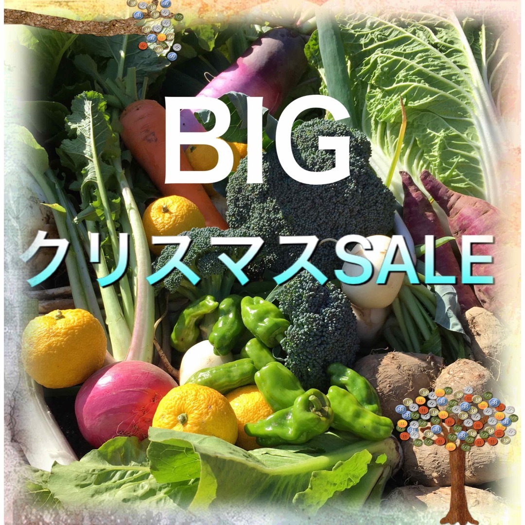 クリスマスSALE 採れたて新鮮野菜　100サイズ 食品/飲料/酒の食品(野菜)の商品写真