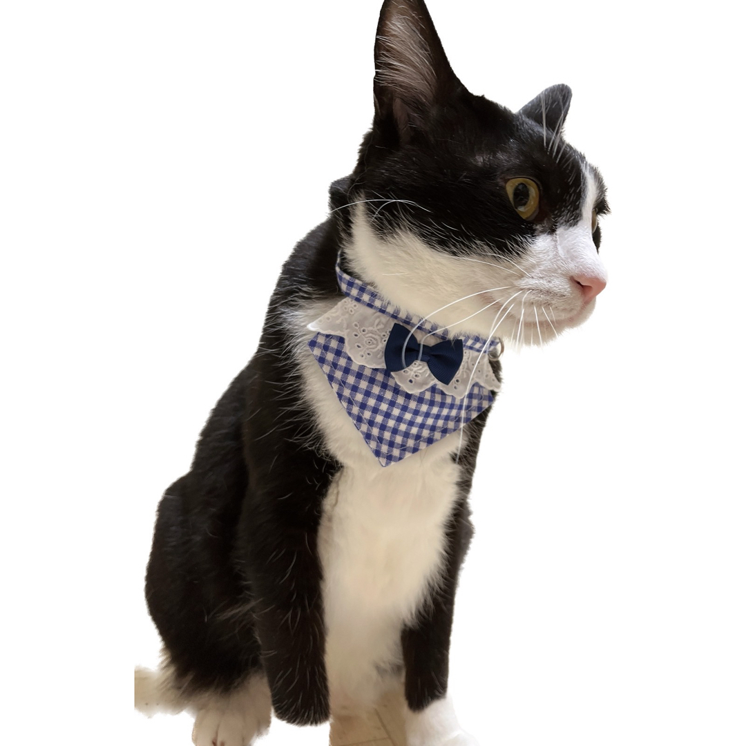 ミニ三角スタイ(チェック柄 ブラウン) 猫 セーフティバックル かわいい その他のペット用品(猫)の商品写真