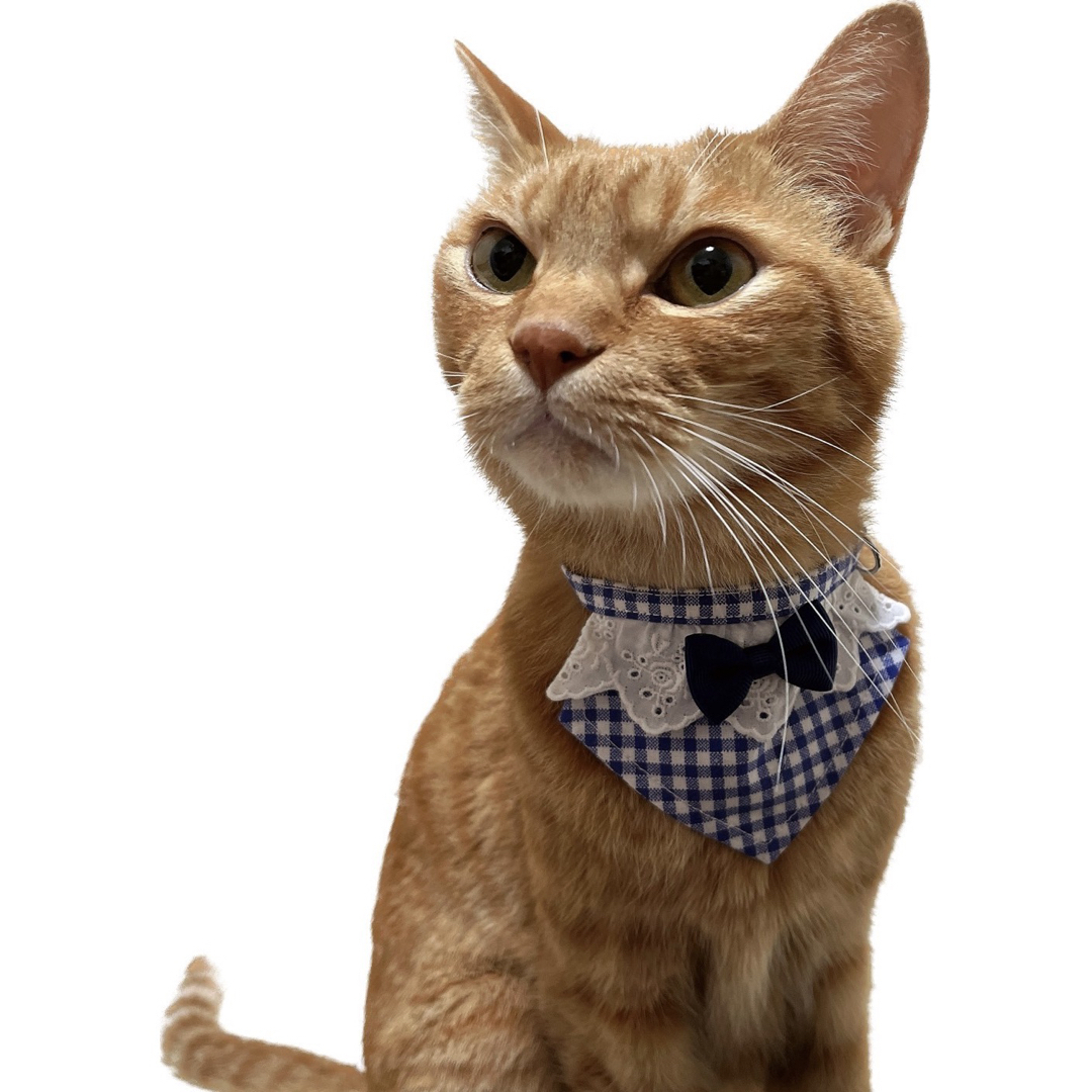 ミニ三角スタイ(チェック柄 ブラウン) 猫 セーフティバックル かわいい その他のペット用品(猫)の商品写真