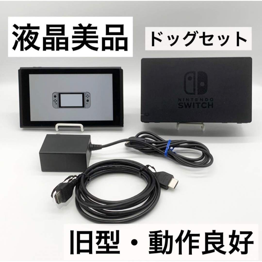 Nintendo Switch - 【液晶美品】Nintendo Switch 本体・ドッグセット