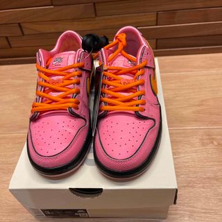 ナイキ(NIKE)のNIKE SB ダンクLOW PRO QS PS  size22.0(スニーカー)