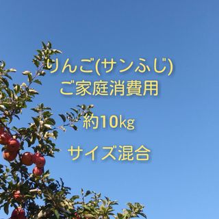 りんご(サンふじ)訳ありご家庭消費用 約10kg(フルーツ)