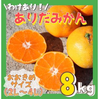 訳あり‼️ 和歌山 有田みかん 8kg サイズ大玉 ミカン フルーツ(フルーツ)