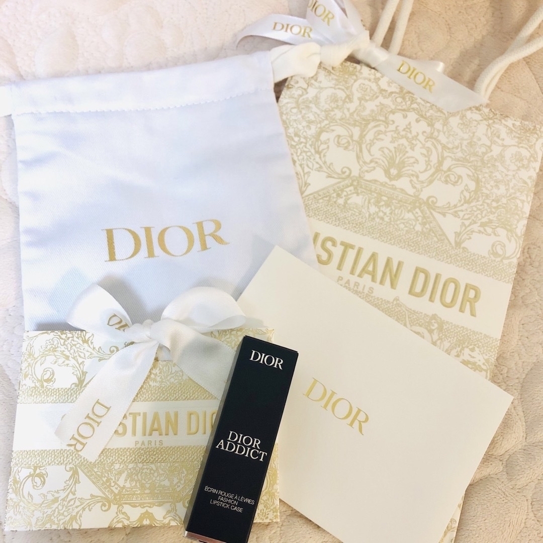 Dior　ディオール アディクト　リップケース　クリスマス　チュイルリー　新品