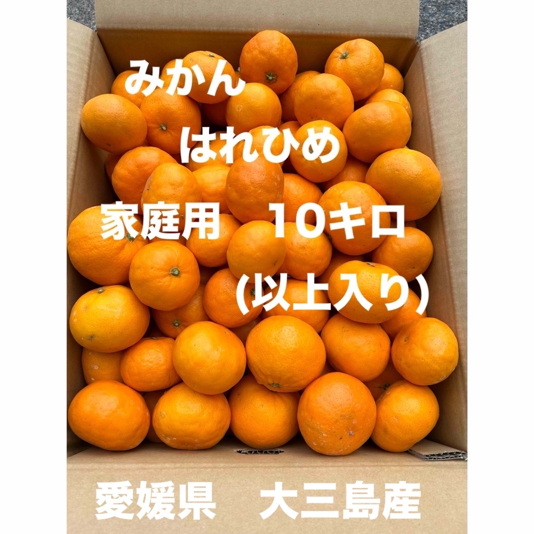 みかん　大三島産　家庭用　はれひめ　　　10キロ(以上入り) 食品/飲料/酒の食品(フルーツ)の商品写真