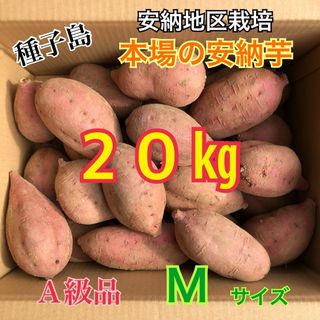 種子島　農家直送！安納地区の安納芋　M 20キロ　A級品(野菜)