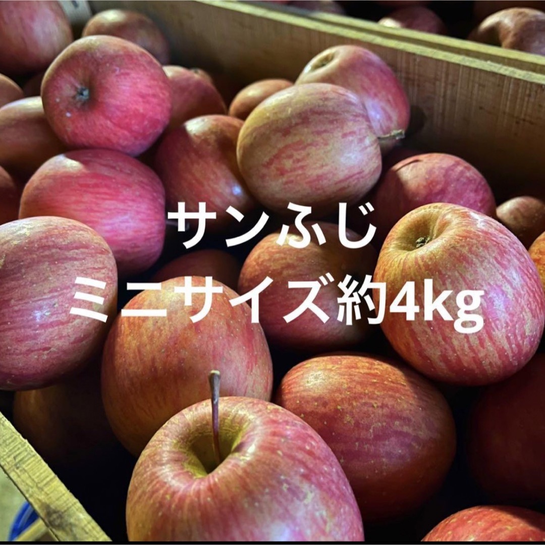 産地直送　サンふじ　青森県産　りんご　訳あり 食品/飲料/酒の食品(フルーツ)の商品写真