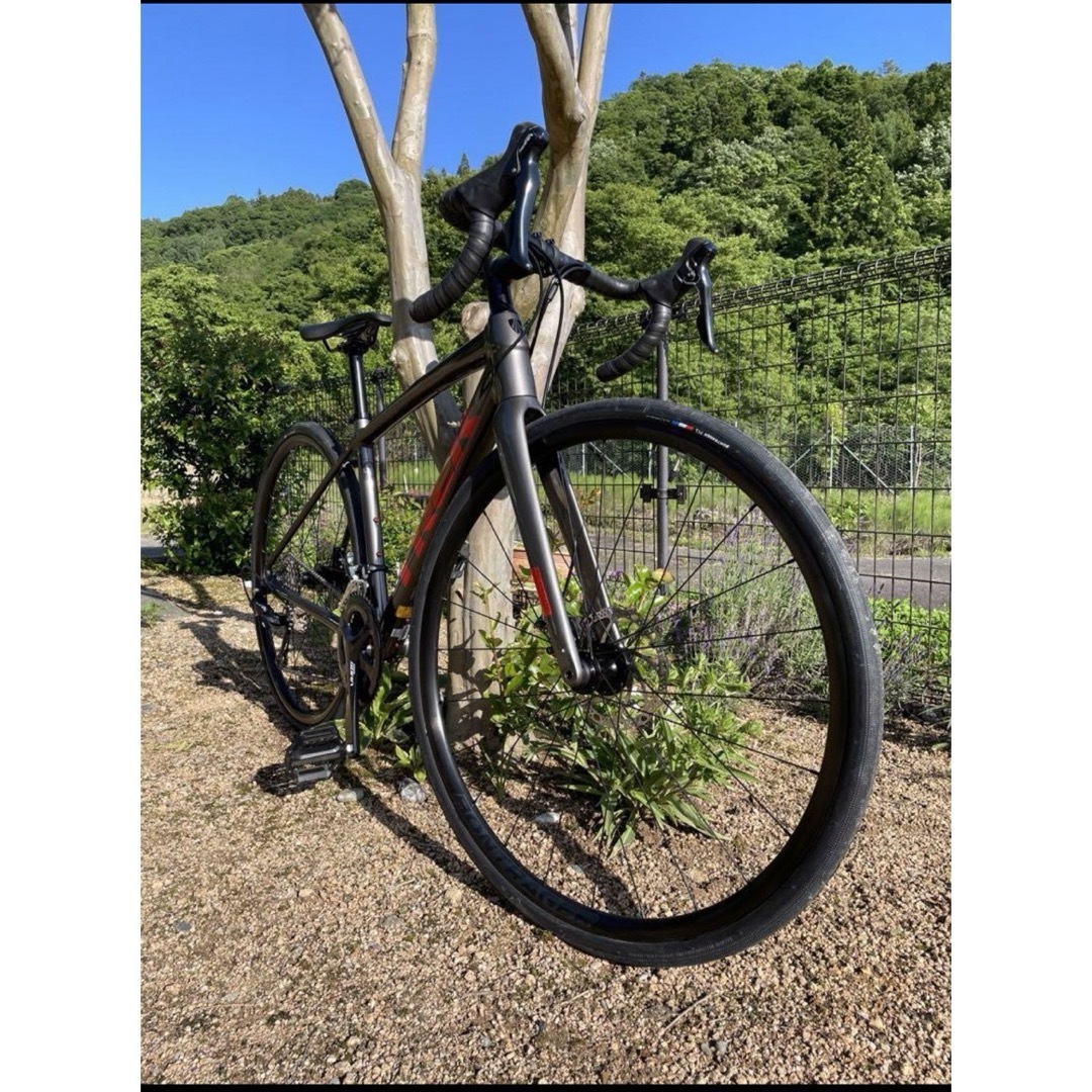 TREK(トレック)の2023 TREK DOMANE AL3 disc スポーツ/アウトドアの自転車(自転車本体)の商品写真