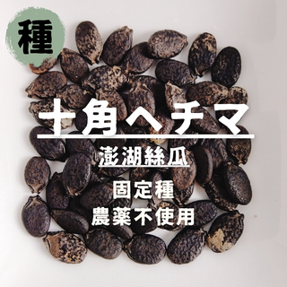 【種】十角ヘチマ　（台湾）澎湖絲瓜　無農薬　15粒(野菜)